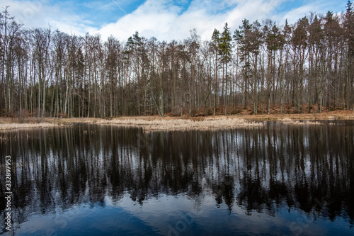 An artificial lake built in the middle of the forest as a water retention reservoir in the early spring
