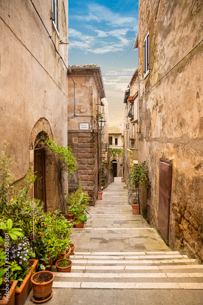Pitigliano, Grosseto, Tuscany, Italy. Old alley with ancient houses and plants in the medieval town founded in Etruscan time
