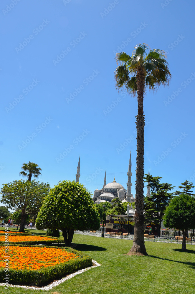 The magnificent mosque in Istanbul