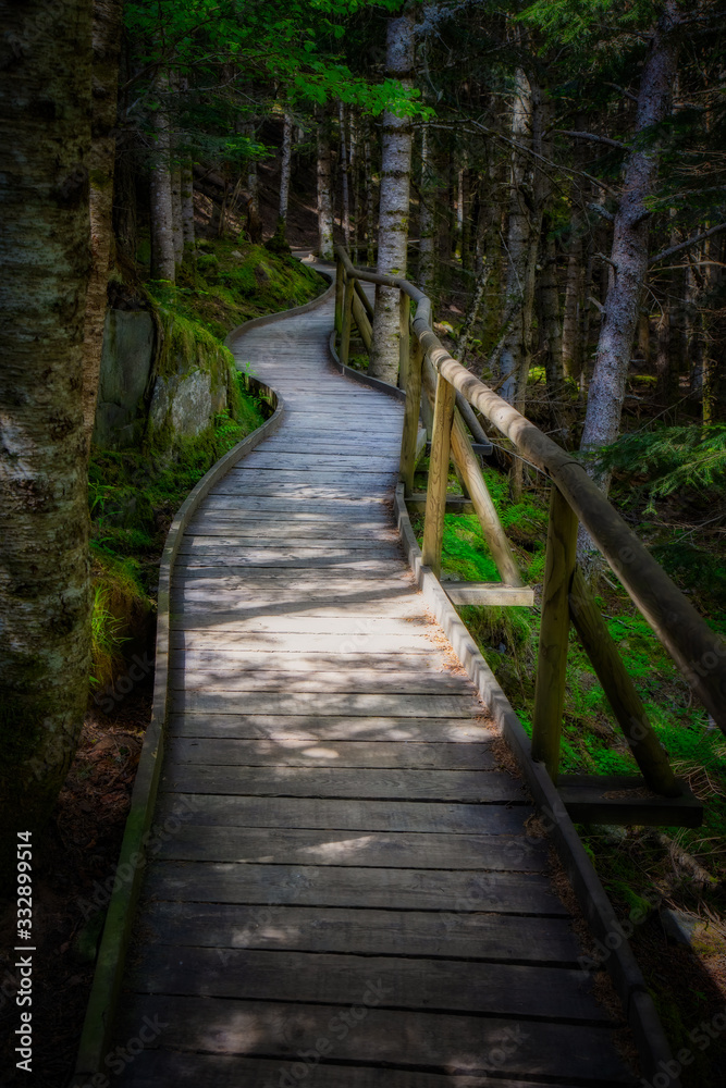 Nice wooden path of Aigüestortes i Estany de Sant Maurici National Park in a Spanish Pyrenees mountain Nice wooden path of Aigüestortes i Estany de Sant Maurici National Park in a Spanish Pyrenees mountain