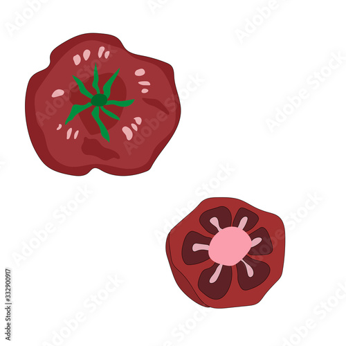 Beautiful red   tomato, great design for any purposes. Vegan & vegetarian food. Organic nutrition. Vegan, vegetarian diet. Autumn background. Vector doodle illustration. Isolated white