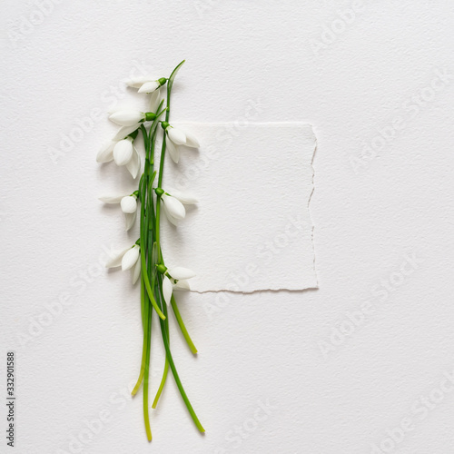 Creative layout made with snowdrop flowers with paper card note. Minimal nature love background. Spring flowers concept.