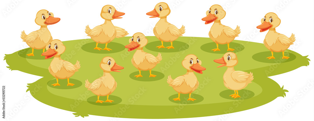 Naklejka premium Lotd of baby ducklings on the ground