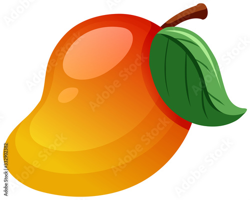 Fresh mango on white background
