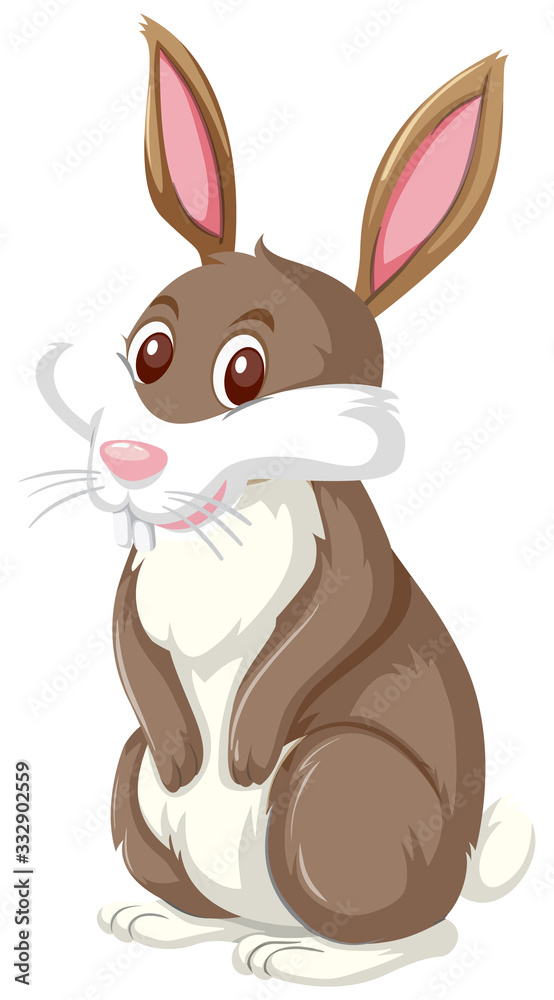 Obraz premium Cute rabbit on white background