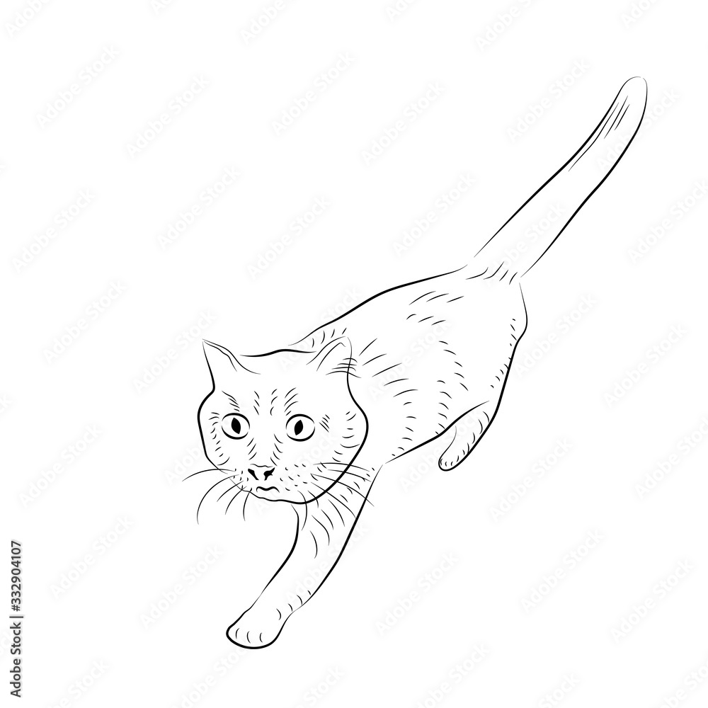 Obraz premium Cartoon cautious cat. Sketch style.