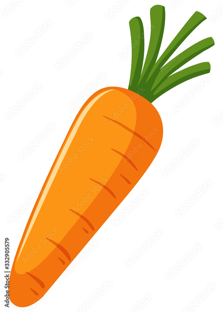 One carrot on white background One carrot on white background