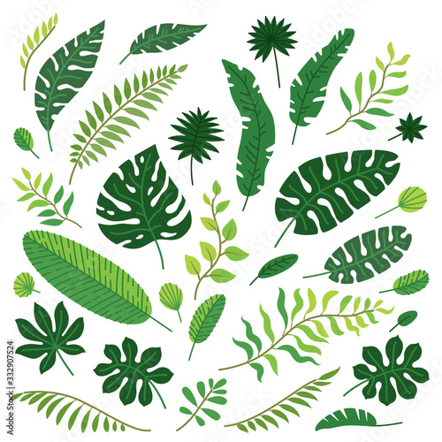 Vector cartoon set of tropical leaves isolated