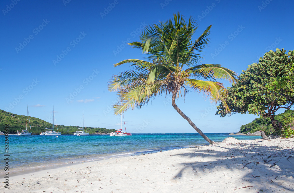 Petit Rameau Carabbean tropical Island Beach 