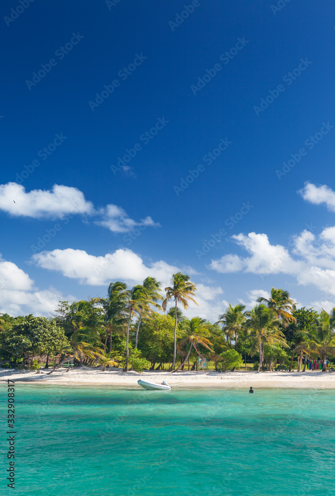 Petit Rameau Caribbean tropical Island Beach Coast