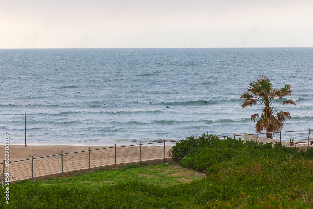 Fototapeta premium Surfers expect a wave in the Mediterranean