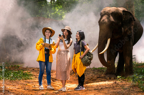 Japanese tourists and Thai tour guides are watching elephants in the jungle. Lost tourist asking for help from a local people in the forest. © Thirawatana