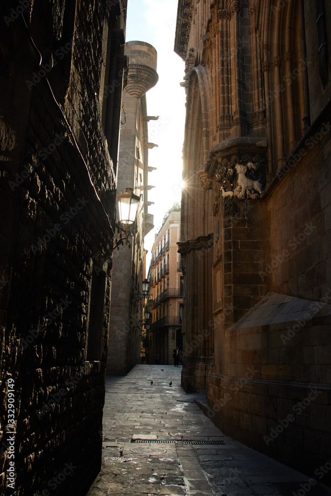 Buildings in the Gothic Quarter in Barcelona, Spain