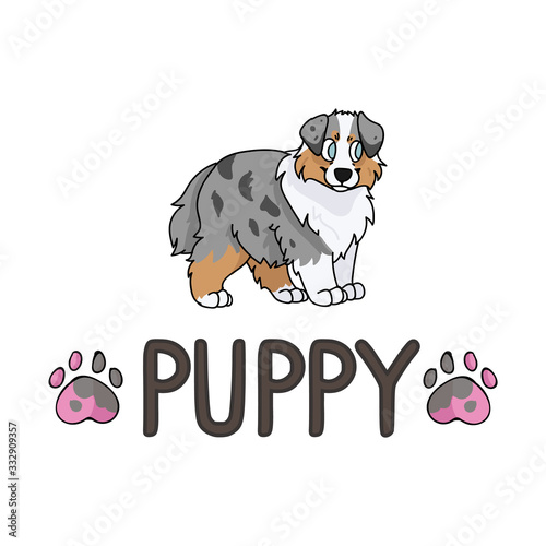 Cute cartoon australian shepherd puppy with text word and paw print vector clipart. Pedigree kennel doggie breed for dog lovers. Purebred dog for pet partlor illustration. Isolated hunting hound. 