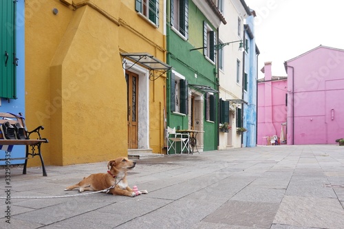 street in Burano © Maxim