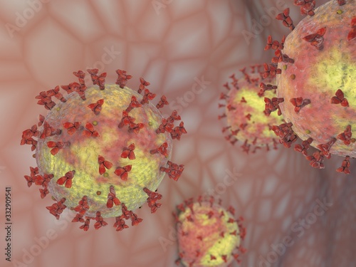 coronavirus photo