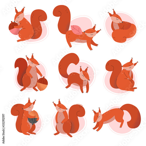 Cute Squirrel Animal Sitting and Jumping Vector Illustrations Set