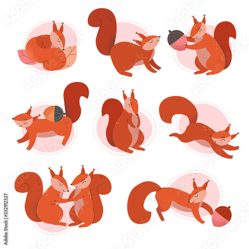 Cute Squirrel Animal Sitting and Jumping Vector Illustrations Set