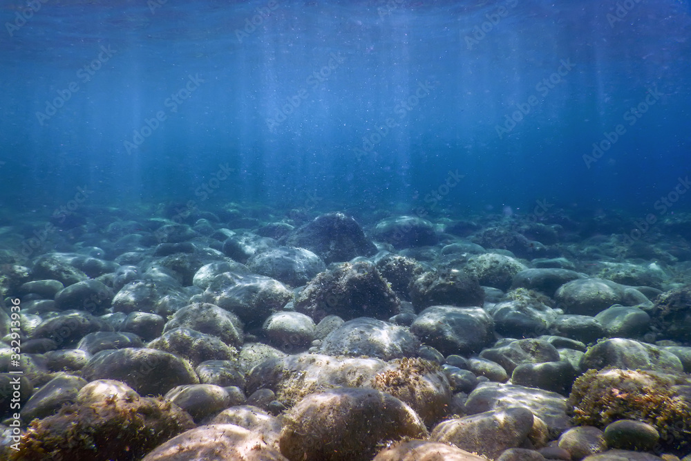 Sea Life Underwater rocks Sunlight, Underwater Life. Stock Photo