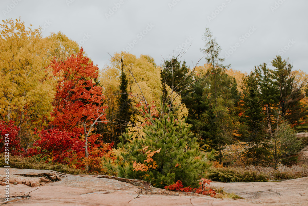 Paysage d'automne et arbres colorés au Canada Paysage d'automne et arbres colorés au Canada