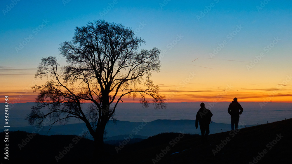 Hikers walking during sunset, silhouette