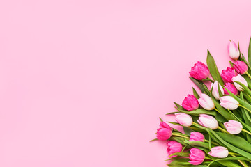 Bouquet of pink tulips on pink background. Mothers day, Valentines Day, Birthday celebration concept. Greeting card. Copy space, top view