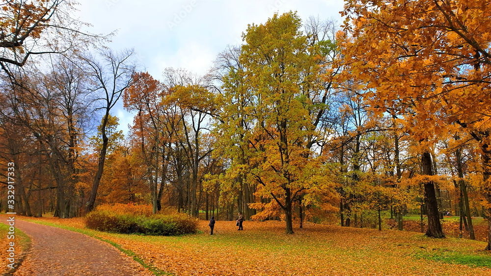 Russian golden autumn. Country landscape parks of St. Petersburg. 2019.