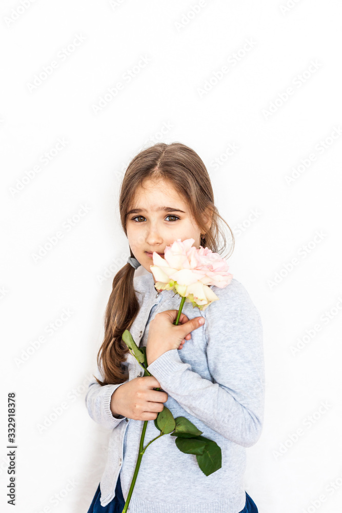 A girl of European appearance with long blond hair on a white background with a beautiful big pink rose, a girl with a gift of a flower, at home with mom and dad, a photo shoot for a child A girl of European appearance with long blond hair on a white background with a beautiful big pink rose, a girl with a gift of a flower, at home with mom and dad, a photo shoot for a child