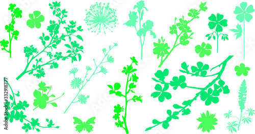 Collection of variable plants and flowers