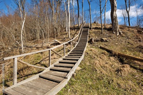 Wooden stairs pathway through forest woods