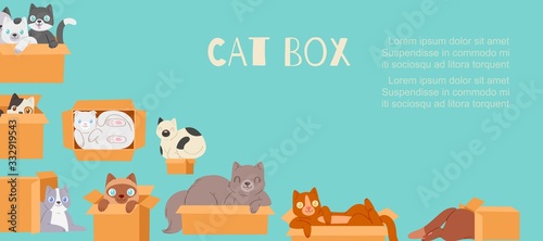 Cats in cardboard transportation boxes cartoon vector illustration. Cute kittens and cats looking out of box poster for domestic animals petshop.