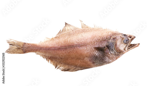  shaped Flatfish or flounders (Pleuronectidae) also known as plaice,dab,sole or flukes, isolated on white. Top side.