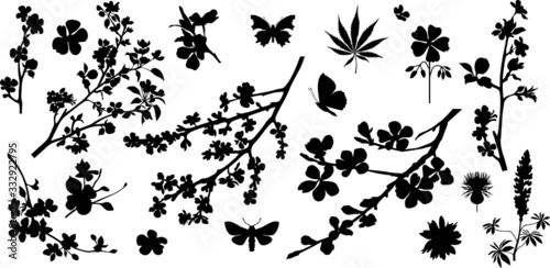 Collection of variable plants and flowers - silhouettes