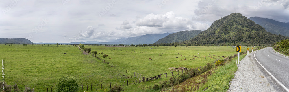  highway 6 bending  in green countryside near Whataroa, West Coast, New Zealand