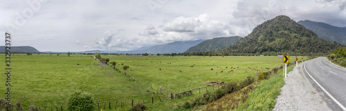  highway 6 bending  in green countryside near Whataroa  West Coast  New Zealand