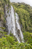 tall waterfall on steep slope with lush vegetation, near Whataroa, West Coast, New Zealand