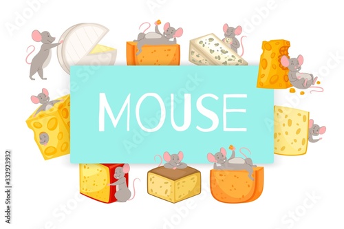 Mice and pieces of cheese vector cartoon illustration of mouse happily nibbling on chunk of cheese. Mouse, symbol of 2020 year and different sorts of cheese banner.