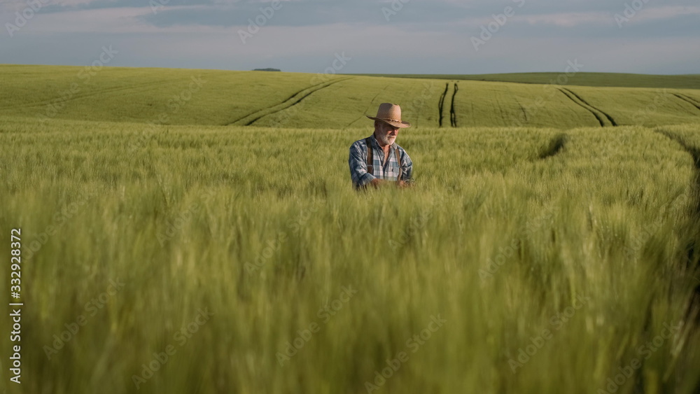 Skilled Old Farmer. Agriculture, Farming Concept.