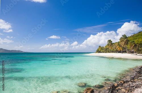 Fototapeta Naklejka Na Ścianę i Meble -  Exotic tropical beach with palm trees and white sand, Caribbean Petit Saint Vincent Island 