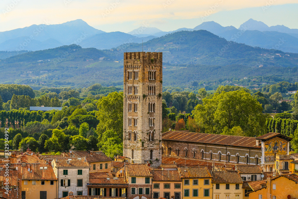 Nahaufnahme eines Turmes in der historischen Stadt Lucca in der wunderschönen Toskana  - obrazy, fototapety, plakaty 