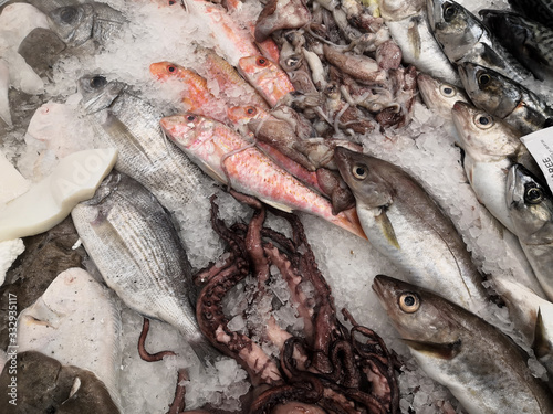  Varied fish stall on ice
