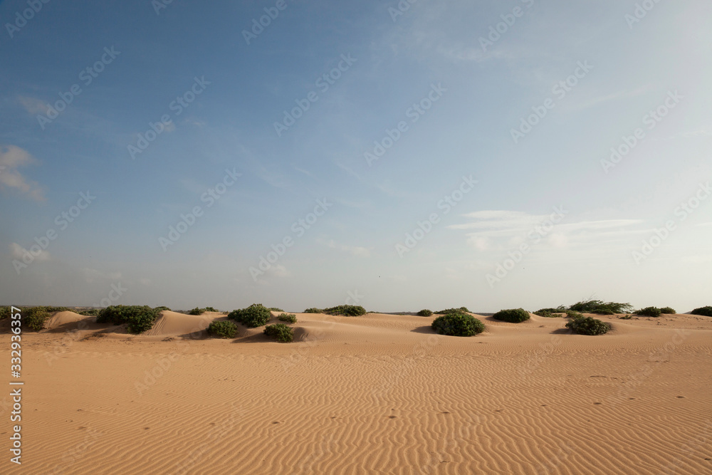 Obraz premium guajira-sand