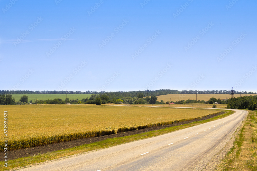 road against the background of a field of wheat and blue sky