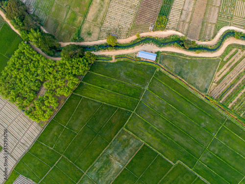 Rice Terrace Aerial Shot. Image of beautiful terrace rice field in Chiang Mai Thailand.