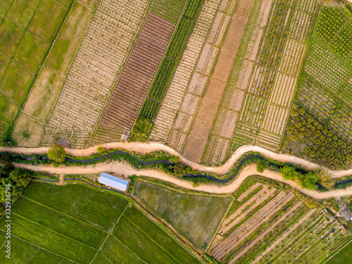 Rice Terrace Aerial Shot. Image of beautiful terrace rice field in Chiang Mai Thailand.