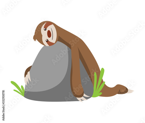Cute baby sloth lies on a stone. Vector funny sloth illustration for summer design. Adorable cartoon animal. Funny cartoon sloth sleeping with full belly. Cute lazy character vector illustration
