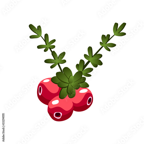 Hand drawn branch cranberry berries with leaves. Fresh summer berries. Fruit botany cartoon vector illustration. Fresh organic food