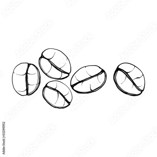 Hand drawn Close-up Coffee beans outline illustration vector eps10, concept for logo, printing, web.