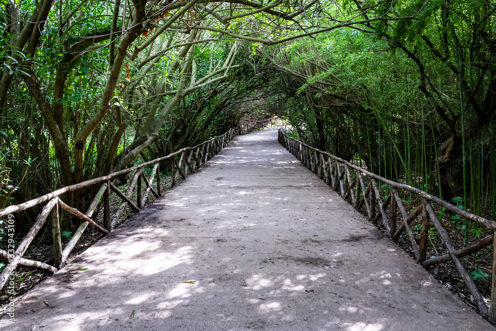 Archaeological Park in Syracuse Italy (Sicily) Archaeological Park in Syracuse Italy (Sicily)