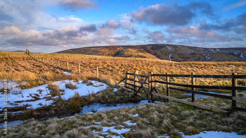 Naklejka premium Fence and Gate marks the Scottish Border in the Cheviot Hills, at Brownhart Law, a summit on the line of the Scottish - English Border